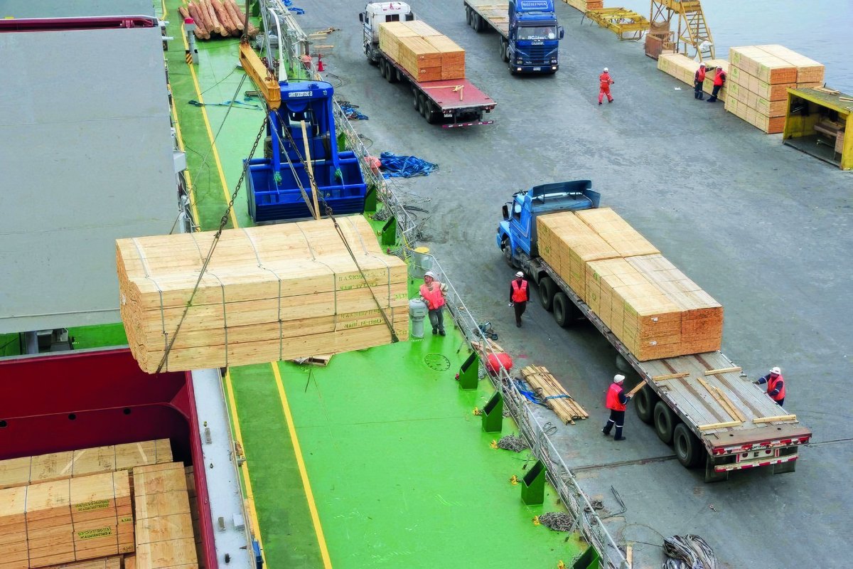 <p>Gobierno chileno reconoce que el nuevo arancel a la madera de Trump se aplicará sobre casi todas las exportaciones del rubro a Estados Unidos</p>