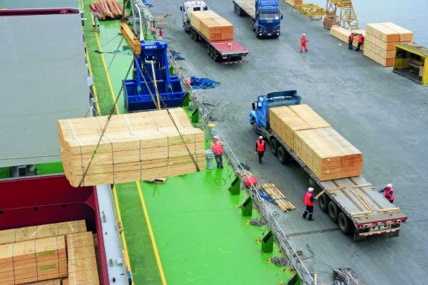 <p>Gobierno chileno reconoce que nuevo arancel a la madera de Trump se aplicará sobre casi todas los envíos a EEUU</p>