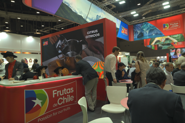 <p>Exportadores chilenos de frutas buscan recuperar terreno en Europa mientras se profundiza efecto de aranceles de Trump</p>