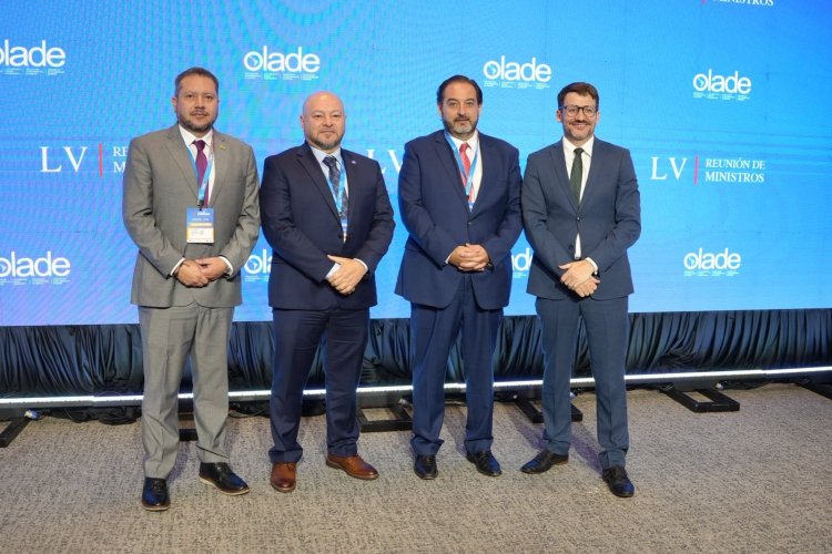 <p>Chile liderará por tres años más la Secretaría Ejecutiva de Olade tras la reelección de Andrés Rebolledo</p>