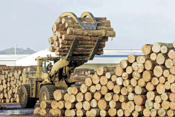 <p>Todos contra el cambio climático: Chile se prepara para cumplir con nueva exigencia de la UE para cuidar los bosques</p>