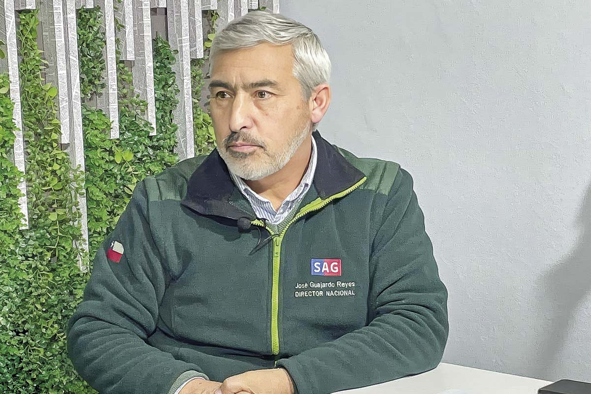 <p>José Guajardo fue removido por el Ministerio de Agricultura, a cargo de Ignacia Fernández.</p>