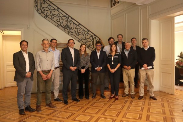 <p>Crédito: CEP.</p>