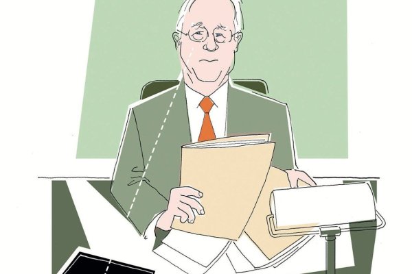 <p>Las normas y el partidor que definió Paulmann</p>