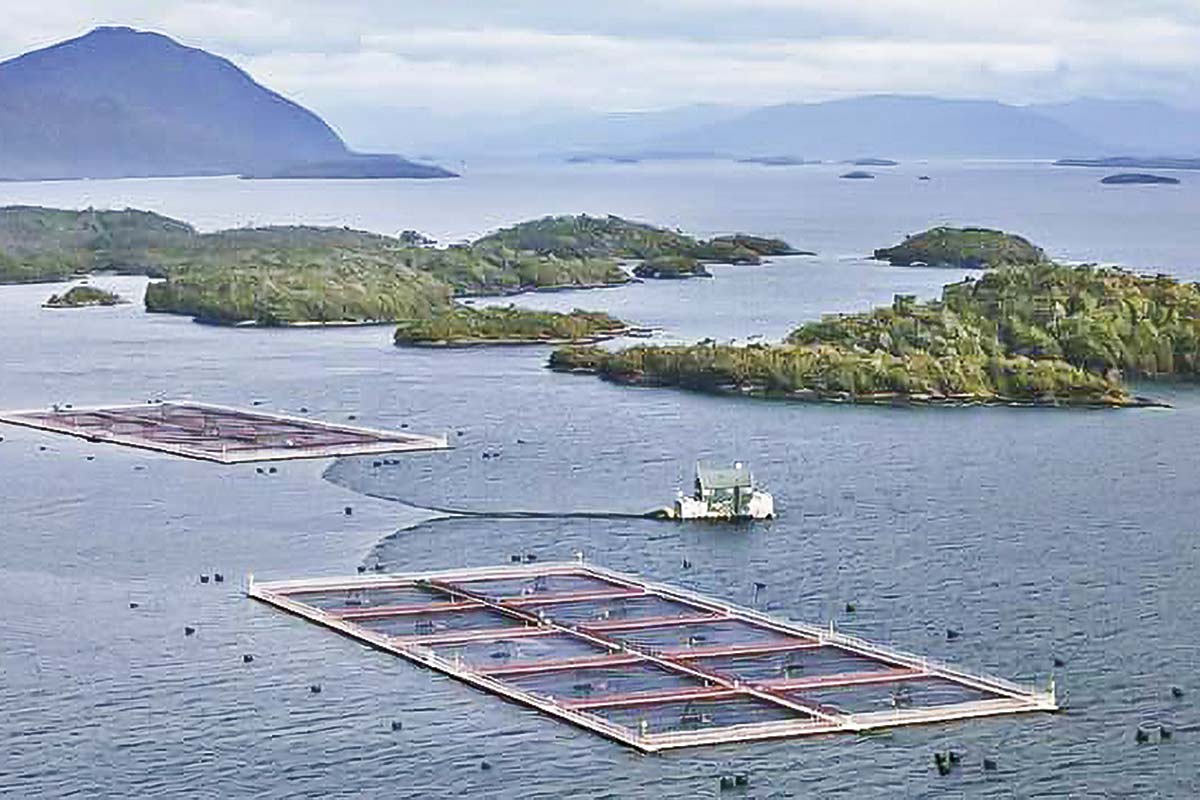 <p>Joyvio solicita que se declare inadmisible el recurso de nulidad de Quiroga contra laudo de Australis</p>