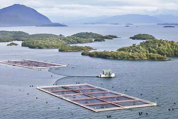 <p>Joyvio solicita que se declare inadmisible el recurso de nulidad de Quiroga contra laudo de Australis</p>