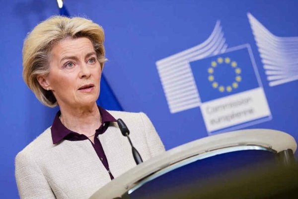 <p>Von der Leyen pide a los países de la UE que recorten los impuestos a la electricidad</p>