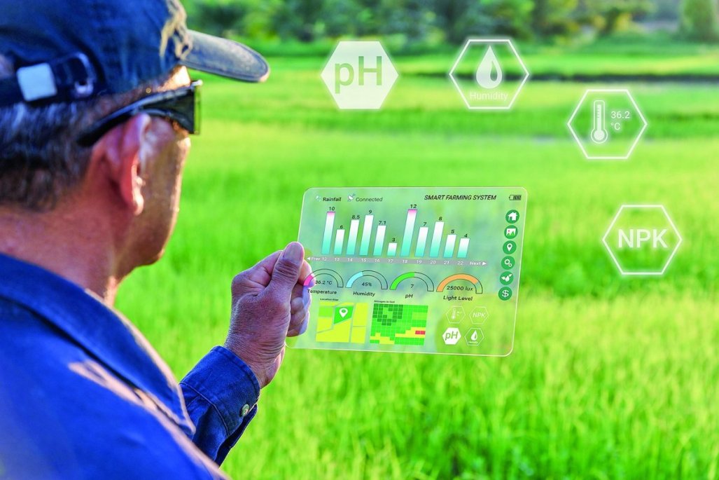 La IA como aliada en la lucha contra el cambio climático