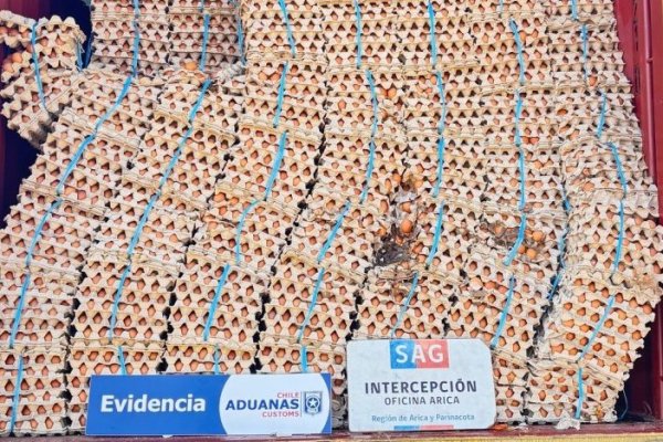 <p>SAG y Aduanas decomisan contrabando de 400 mil huevos en la frontera con Bolivia</p>