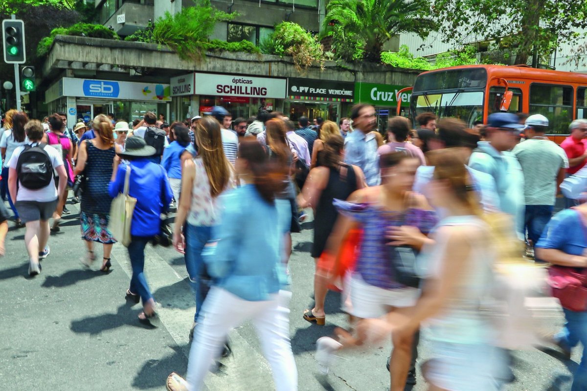 <p>Foto: José Montenegro</p>