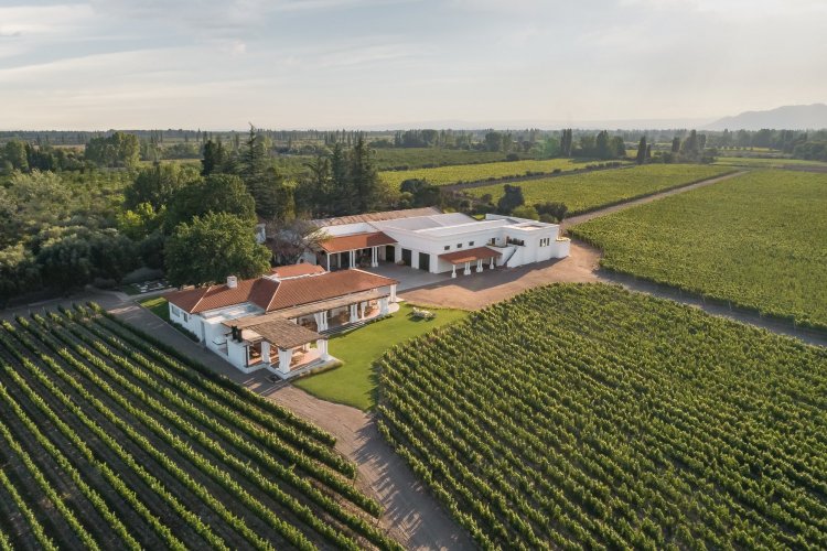 <p>Una bodega argentina apuesta al boom sin alcohol y lanza su primer espumante</p>