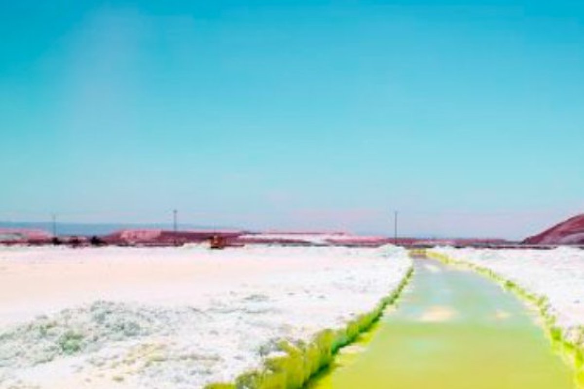 <p>Foto: Bloomberg</p>