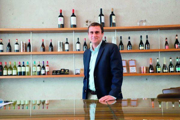 Viña Undurraga anticipa fusiones, ventas de activos y reducción de la industria en 20%