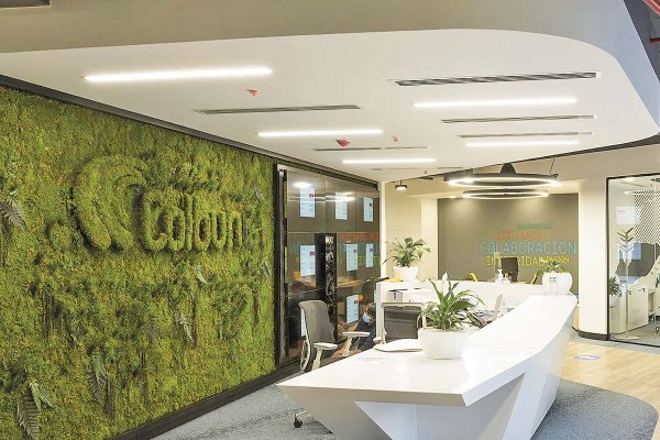 <p>Colbún reporta caída del 30% en ventas físicas en uno de los contratos con Codelco tras accidente en El Teniente</p>