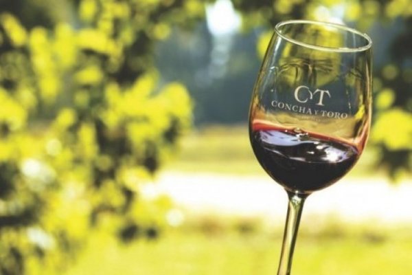 <p>Concha y Toro cierra septiembre con positivos resultados gracias a su apuesta en la venta de vinos premium y superiores</p>