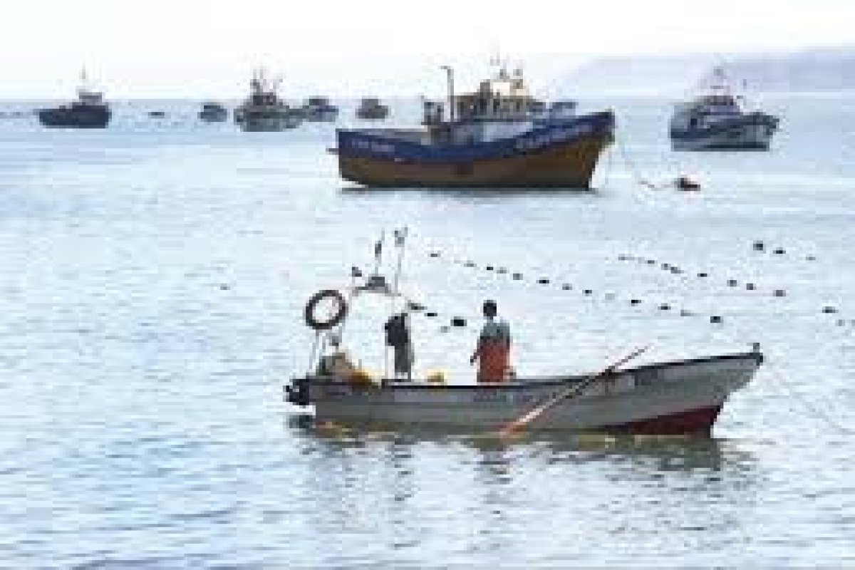 <p>Las siete medidas para la pesca artesanal en el marco de la Ley de Fraccionamiento Pesquero</p>