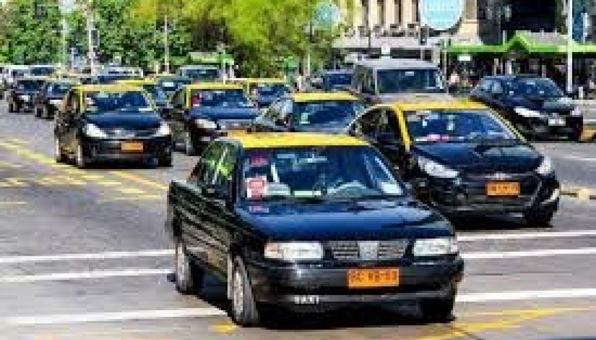 Diputados aprueban permiso laboral por muerte de mascotas: un paso inédito en derechos laborales y afectivos