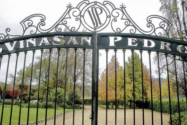 <p>Viña San Pedro cierra septiembre con leves alzas en sus resultados por positivo desempeño en Chile y el mercado internacional</p>