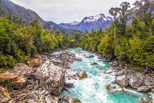 <p>Enfrentar la deforestación, aniversarios y el mercado de carbono: guía para seguir la COP30</p>
