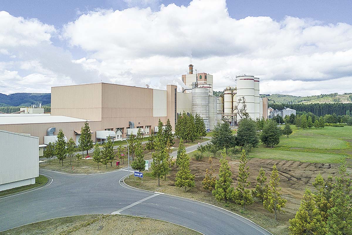 <p>Menor precio de la celulosa golpea a Arauco y pierde US$ 10 millones a septiembre</p>