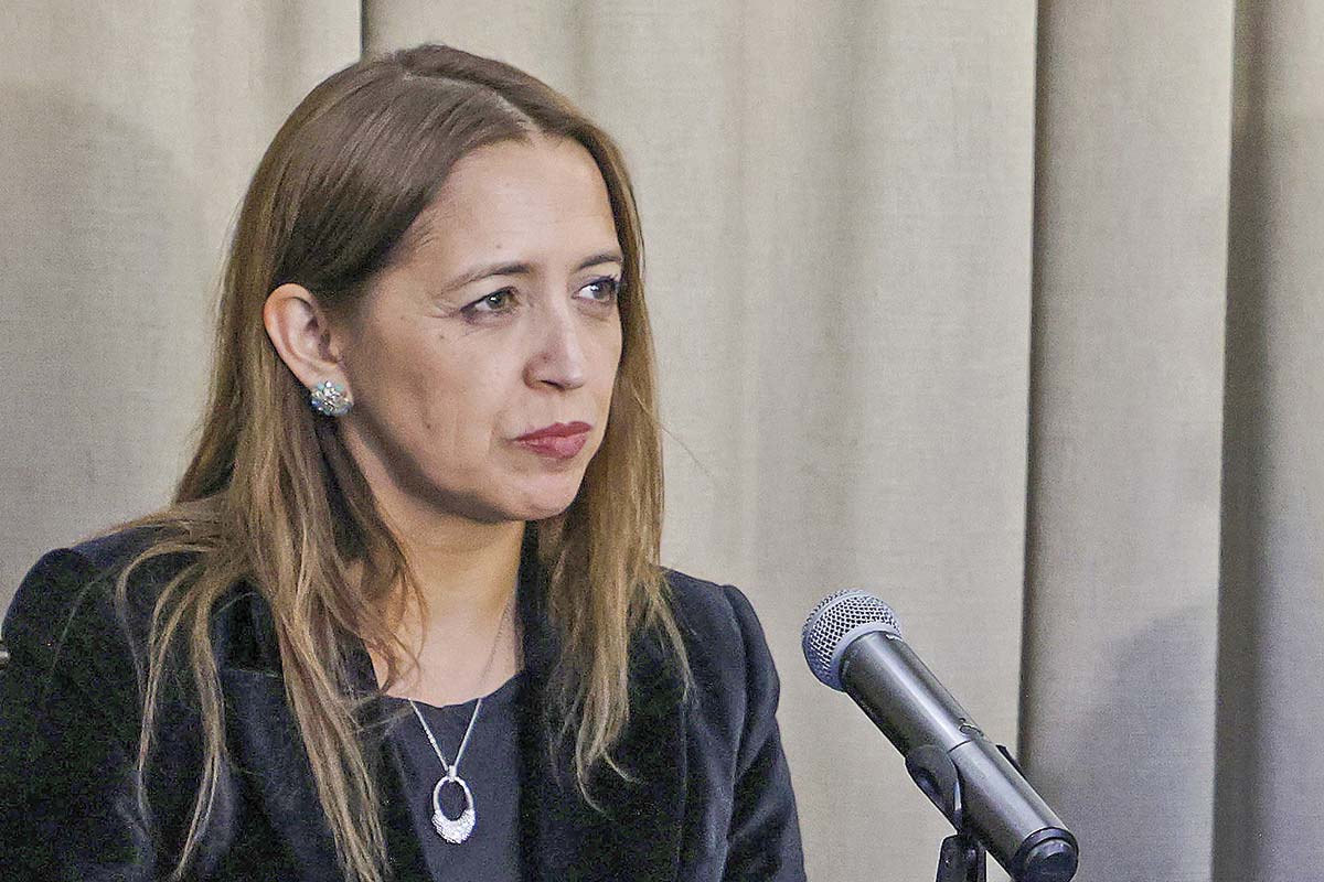<p>Carolina Saravia, directora (s) del Servicio de Impuestos Internos (SII). Foto: Aton</p>