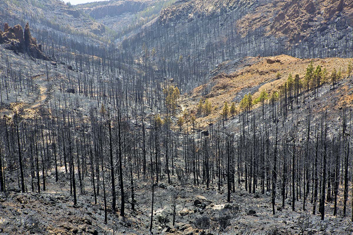 <p>Seguros paramétricos: la alternativa de los agricultores para protegerse de catástrofes climáticas</p>