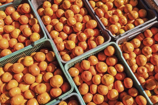 <p>Menor dinamismo de la banca reordena el financiamiento agrícola</p>