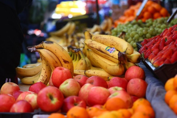 <p>Foto: Aton Chile</p>