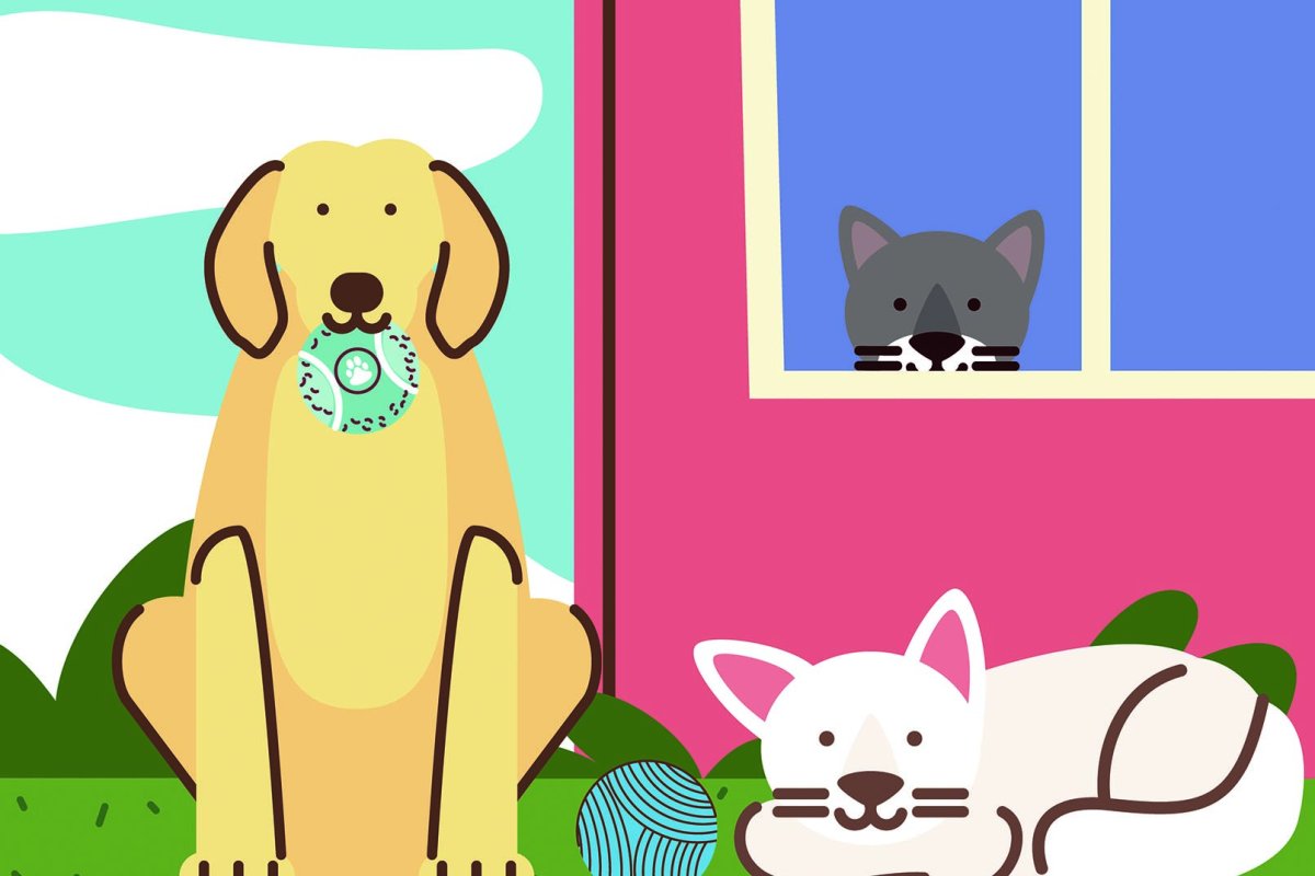 <p>Columna de J.J: Jinks: De luto (de mascotas y política)</p>