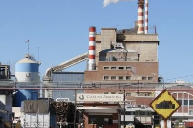 <p>Con nuevo dueño, Celulosa Argentina vuelve a producir y ya planifica exportaciones tras meses de parálisis</p>