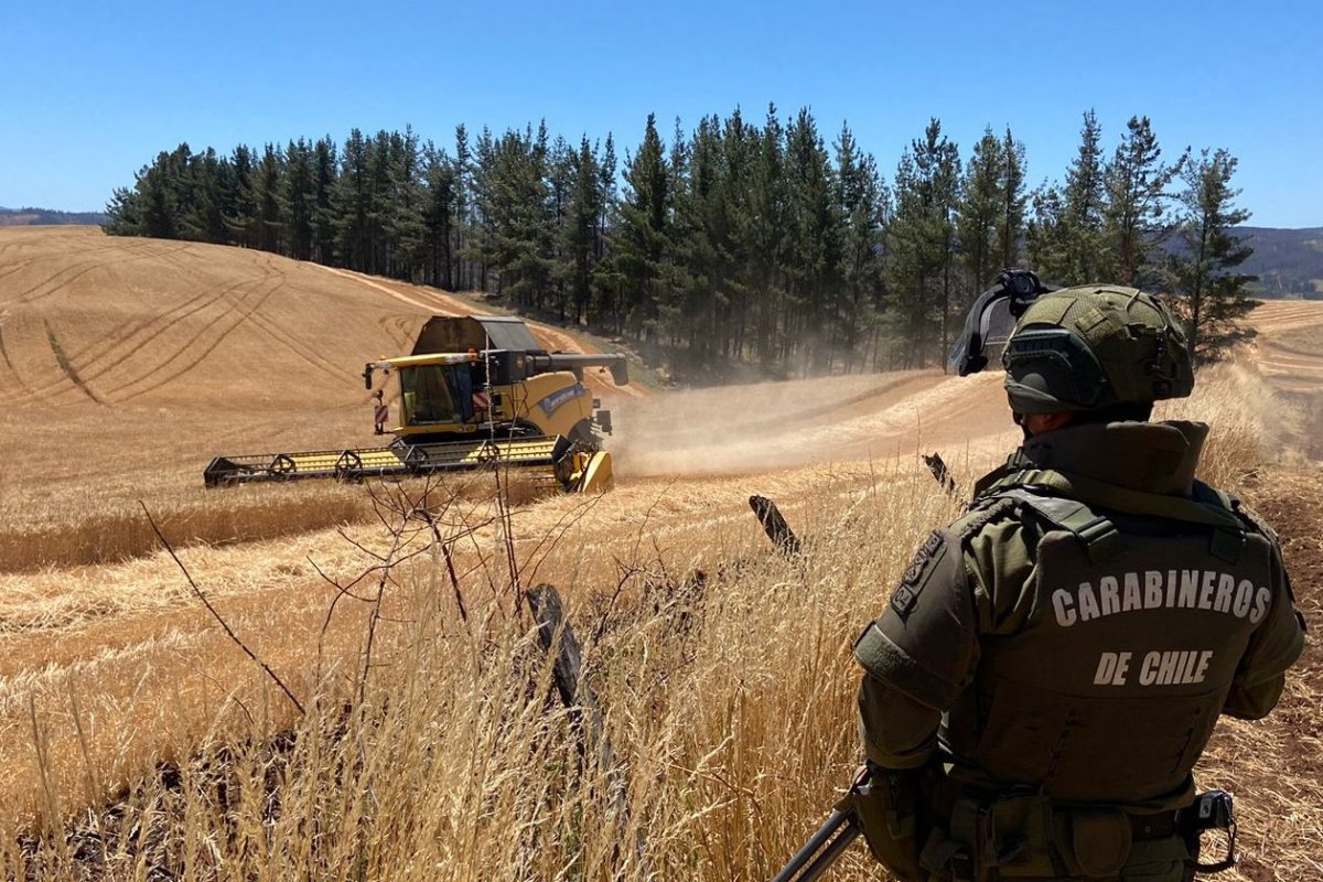 <p>Tras seguidilla de atentados en La Araucanía, empresarios valoran querella del Gobierno por asociación terrorista, pero advierten que no cambia el escenario</p>