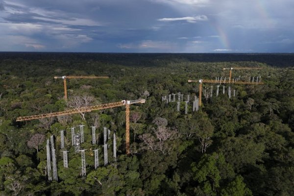 <p>La nueva lógica verde de Brasil: hacer rentable mantener al Amazonas para salvarla del desastre</p>