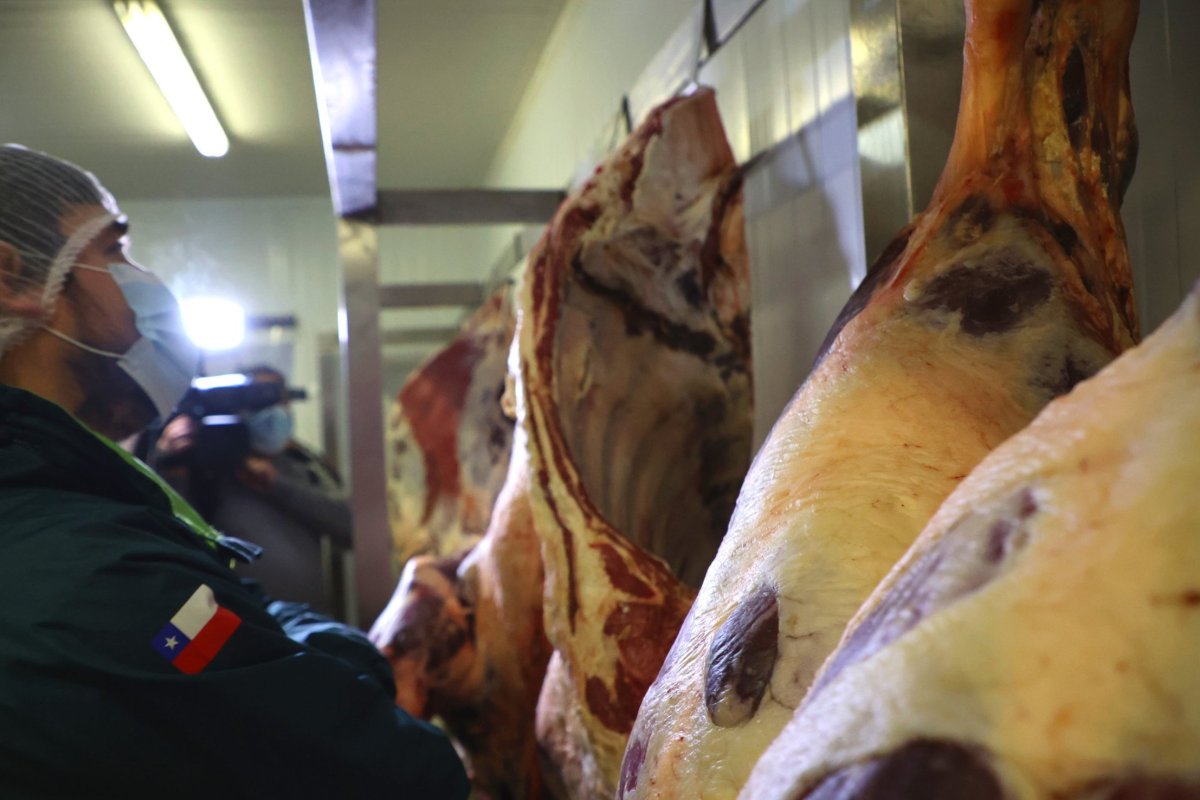 <p>Paro del SAG golpea al corazón de la industria ganadera nacional y pérdidas ya se acercan a los US$ 8 millones</p>