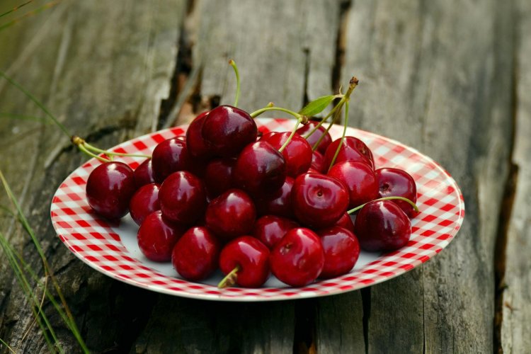 <p>Cerezas: Perú apuesta por la producción de la fruta para exportarla a China</p>