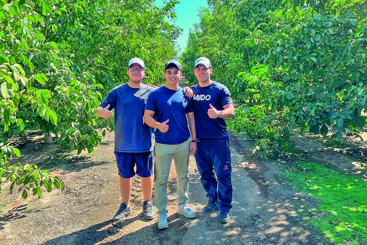 <p>Como esta startup chilena sedujo a los principales productores de palta y a los de berries del mundo</p>