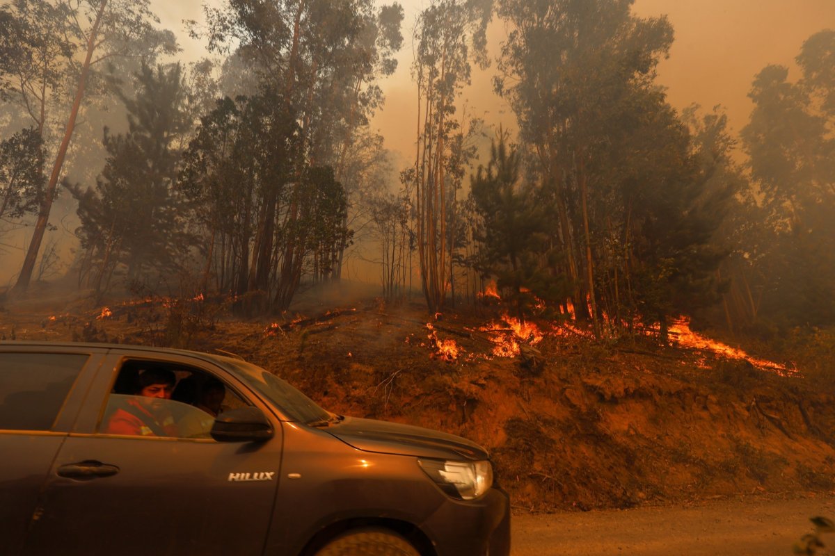 <p>Senapred activa alerta roja por rápido avance de incendio forestal en Limache y llama a vecinos a evacuar</p>