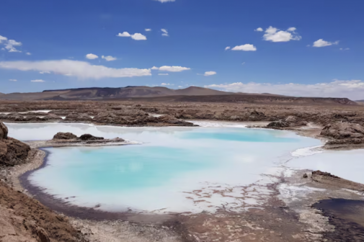 <p>Surcoreana Posco compra otro proyecto de litio argentino, mientras espera respuesta por el RIGI</p>