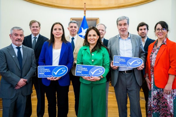 <p>De la sobreexplotación a ejemplo de sustentabilidad: jurel chileno vuelve a obtener Sello Azul MSC de certificación internacional</p>