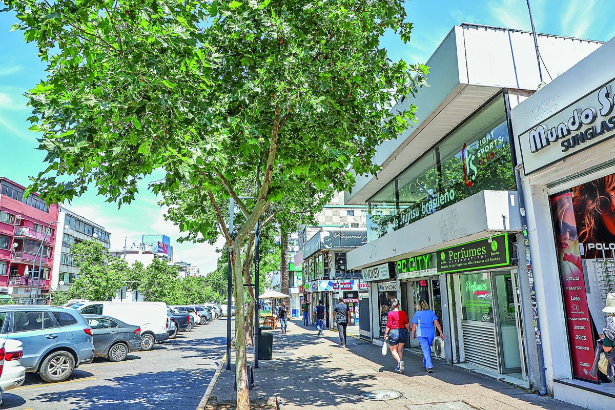 <p>Foto: Julio Castro</p>