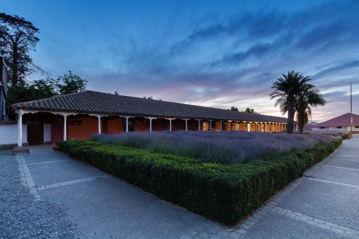 <p>Cómo Santa Rita se convirtió en la mejor viña del mundo según Forbes</p>