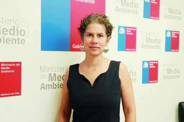 <p>Maisa Rojas, ministra del Medio Ambiente. </p>