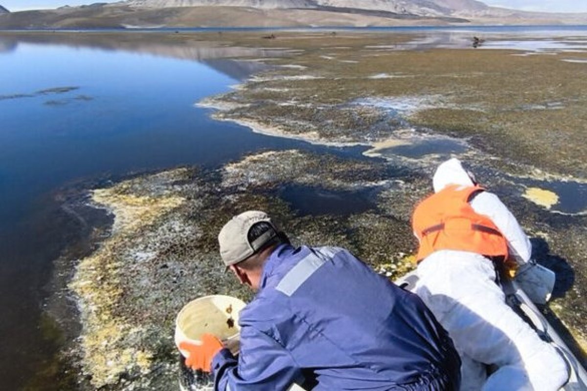 <p>Derrame de aceite en Lago Chungará: Cores y turismo local en pie de guerra por riesgos asociados a transportistas bolivianos</p>