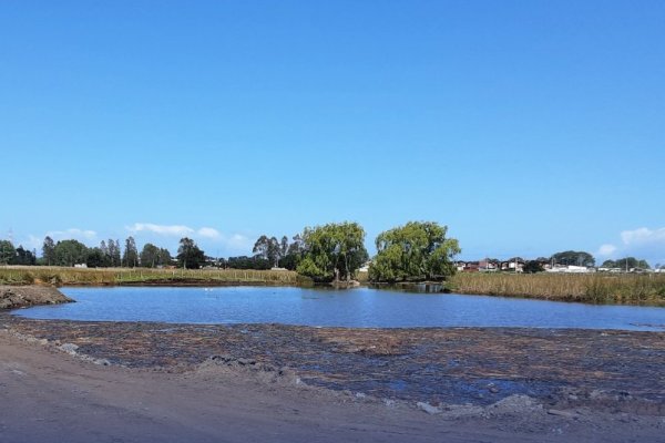 SMA paraliza proyecto Loteo Llacolén, de Inmobiliaria Pocuro Sur, en Coronel, tras detectar un humedal dentro del predio