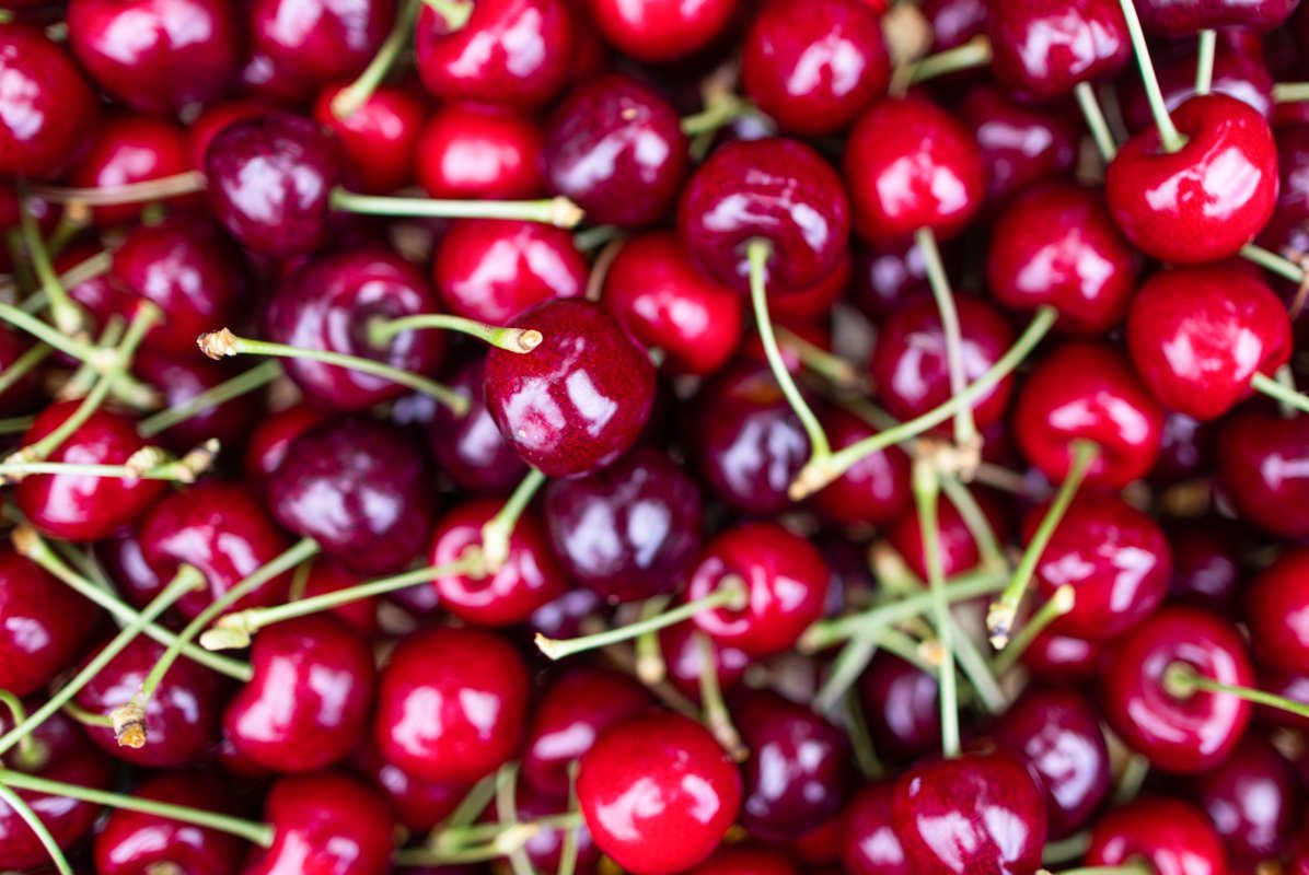 <p>Frutas de Chile descarta impacto mayor tras destrucción de 1.120 kilos de cerezas chilenas en Brasil: "Es un volumen acotado"</p>