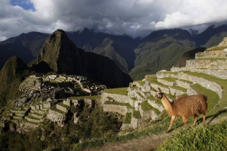 Machu Picchu en crisis: podría perder su condición de patrimonio ante la falta de gestión estatal del sitio, según historiadores