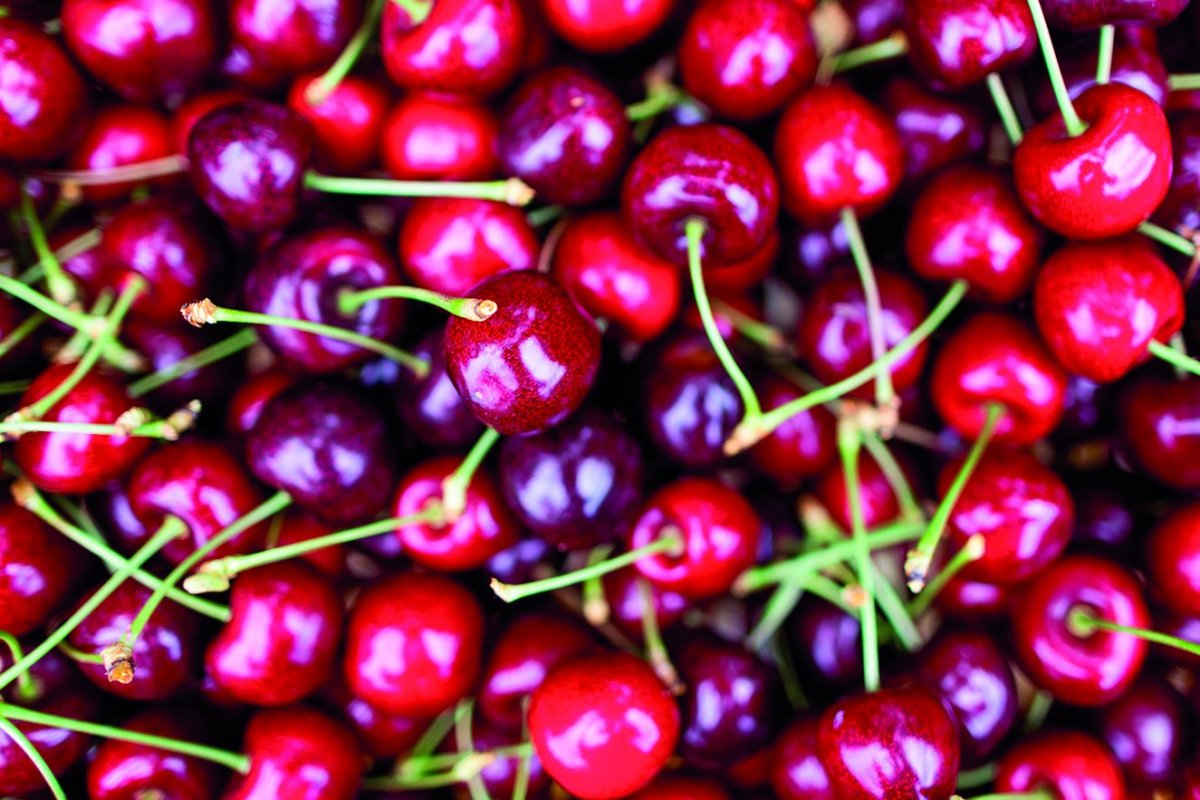 <p>Foto: Bloomberg</p>