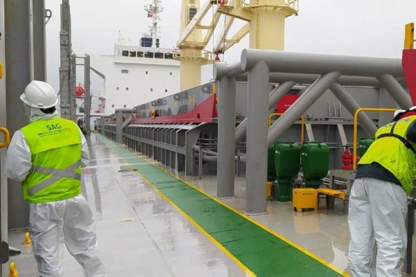 <p>SAG intensifica control en puertos tras hallazgos de "polilla esponjosa", plaga que plantea seria amenaza para industria forestal, en buques de carga</p>