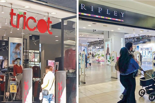 <p>Ripley y Tricot alertan que nuevo prefijo 600 golpea su negocio financiero tras baja en respuestas</p>