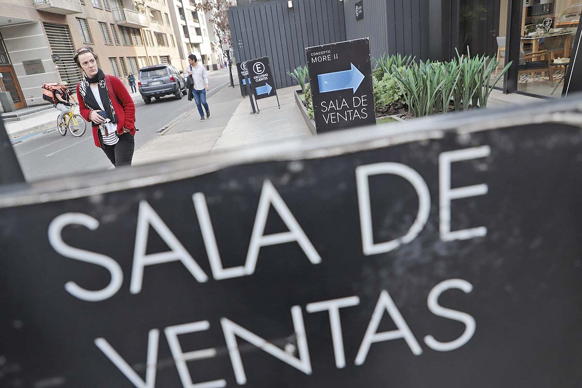 <p>Foto: Rodolfo Jara</p>