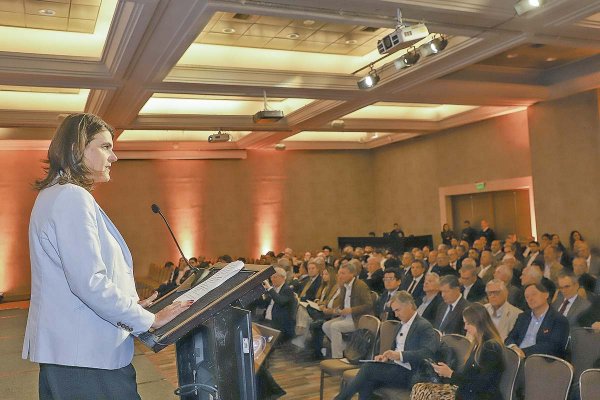 Bettina Horst, directora ejecutiva de LyD. Foto: Julio Castro.